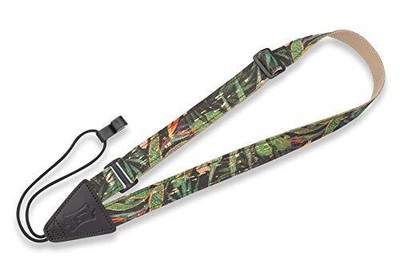 - Rainforest Free Shipping