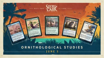Ornithological Studies | Secret Lair