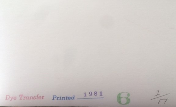 William Christenberry Ground Tree-Near Akron Alabama 1981 SIGNED Dye Transfer