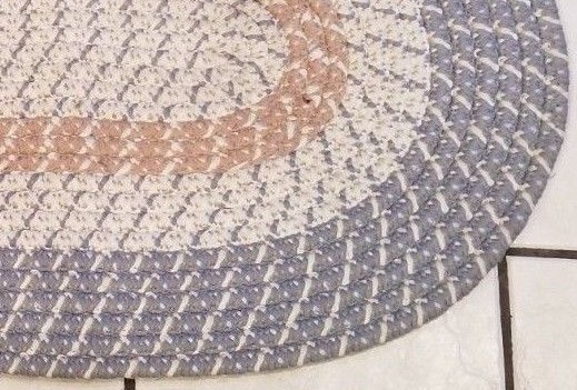 Beautiful, Braided Oval Rug with Blue, White and Mauve colors.