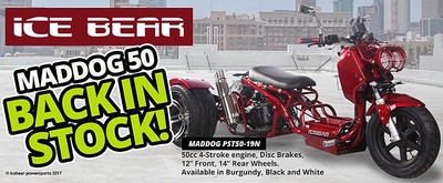 NEW ICE BEAR 49cc MADDOG Motor Bike Trike Tricycle Gas Scooter 50 Moped 3wheeler