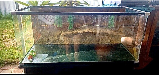 Turtle Pro Terrarium and stand | Pet Products | Gumtree Australia