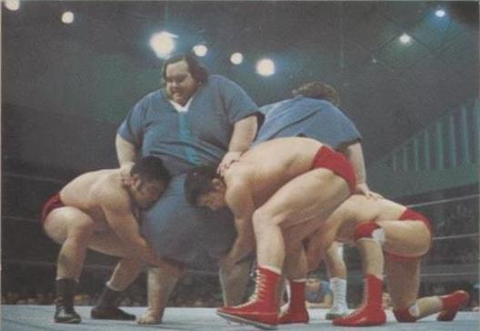 1974 Yamakatsu New Japan Pro Wrestling - Anaconda #20 for sale | eBay