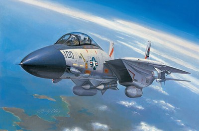 HobbyBoss 80276 Grumman F-14A Tomcat 1/72 Scale Plastic Model Kit