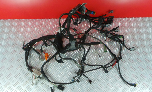 Faisceau Moteur Renault Clio Iii (Br0 1 Cr0 1) 2005 K9k 766 179961