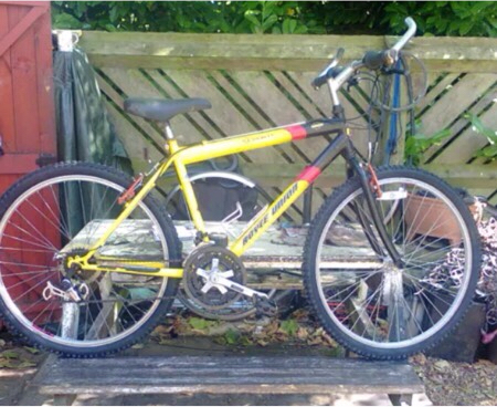 royce union mountain bike
