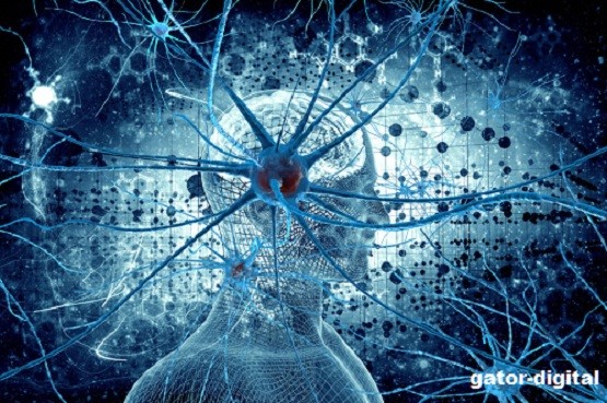 Increase Your Attention Span - Stay Focused ~ SUBLIMINAL CD