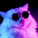 roguehippie 的用户个人档案