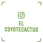 elcoyotecactus
