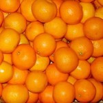 isamo2