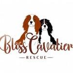 blissrescue