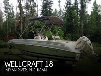 2011 Wellcraft 18 Used