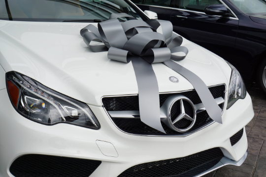 CarBowz Big Car Bow for Christmas Car Decorations and Birthday Car Gifts 