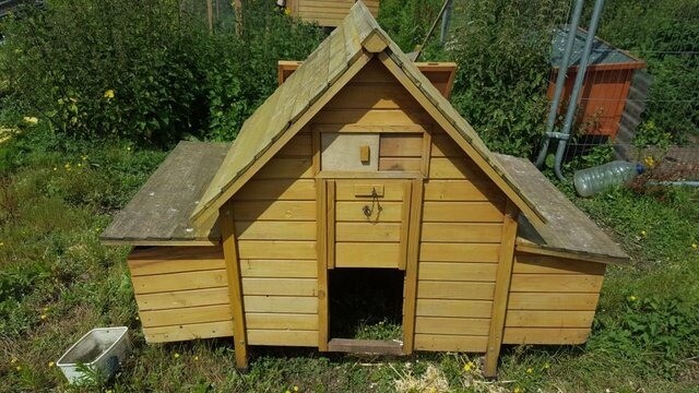 Large Chicken Coop 6 Nest Boxes In Kings Lynn Norfolk Gumtree