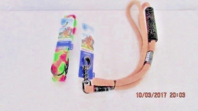 COLLAR & LEASH  2 PC SET   CESAR MILLIAN   SIZE LARGE    COLOR PINK/LIME