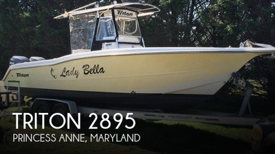 2002 Triton 2895 Used