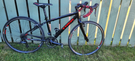 Trek junior road bike