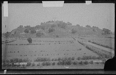 Photo:Cholula, the Pyramid [Gran Piramide]