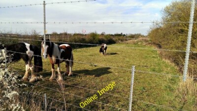 Photo 6x4 Horses in a narrow field, Whelford Fairford The horses look too c2014