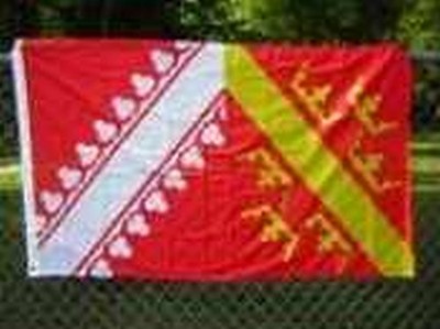 Flag of Alsace 3x5 ft Alsatian French Region France Lorraine Strasbourg Historic
