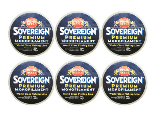 Penn Schnüre & Vorfächer für den Angelsport