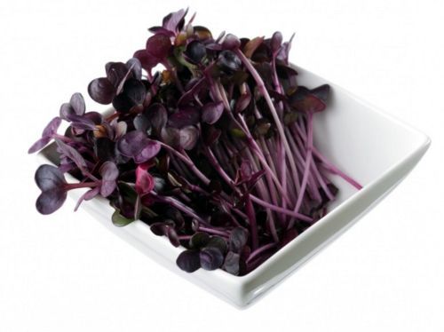 NPK-Dnger 15-15-15 (+S) Volldnger 10 kg mit Langzeitwirkung Rasendnger  Garten | eBay.de