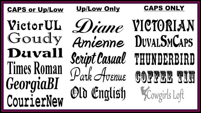 Horse Halter Brass Custom Name Plates Bridle Tags ID w Chicago Screws 5/8 x 3.5