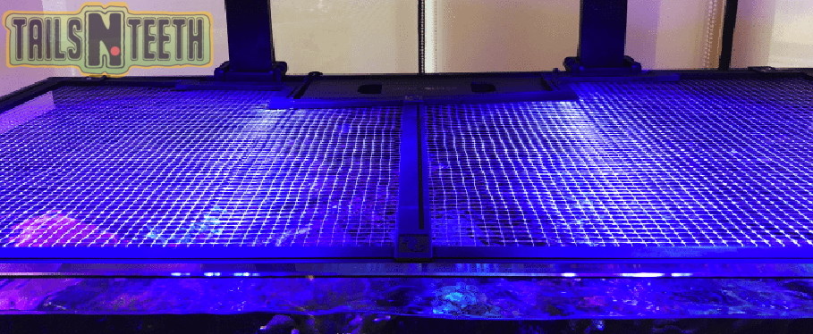 RED SEA Customizable DIY Aquarium Net Cover - Cut Out Parts Incl. 48