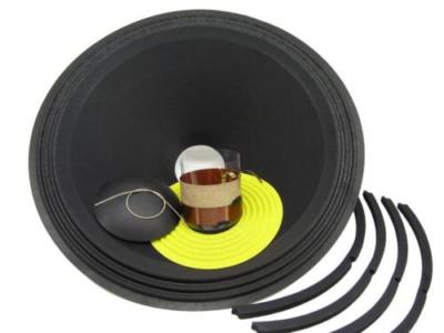 Recone Kit for JBL MR918, MR938, 2042H 18" Woofer SS Audio Speaker Repair Parts