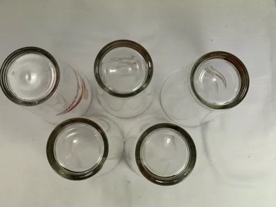 5 Vintage Budweiser Ring Neck Pheasant Clear Tumblers Hunting Bar Ware Glasses