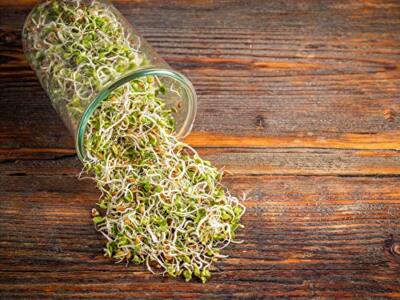 Organic Radish Seeds for Sprouting - Non-GMO, Kosher, Raw - by Food To Live