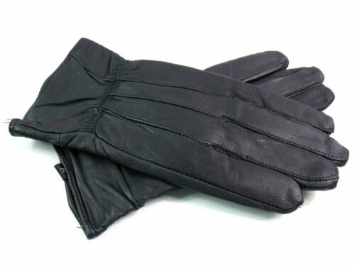 Giardinaggio Per Principianti: Quali Attrezzi Scegliere? | Fito - Foto 12