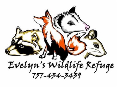 Evelyn's Wildlife Refuge