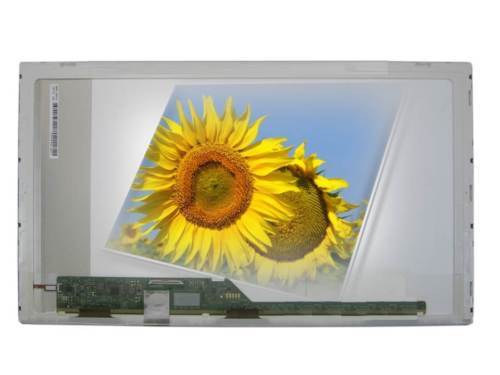 Pantallas y paneles LCD Compaq portátil para Dell