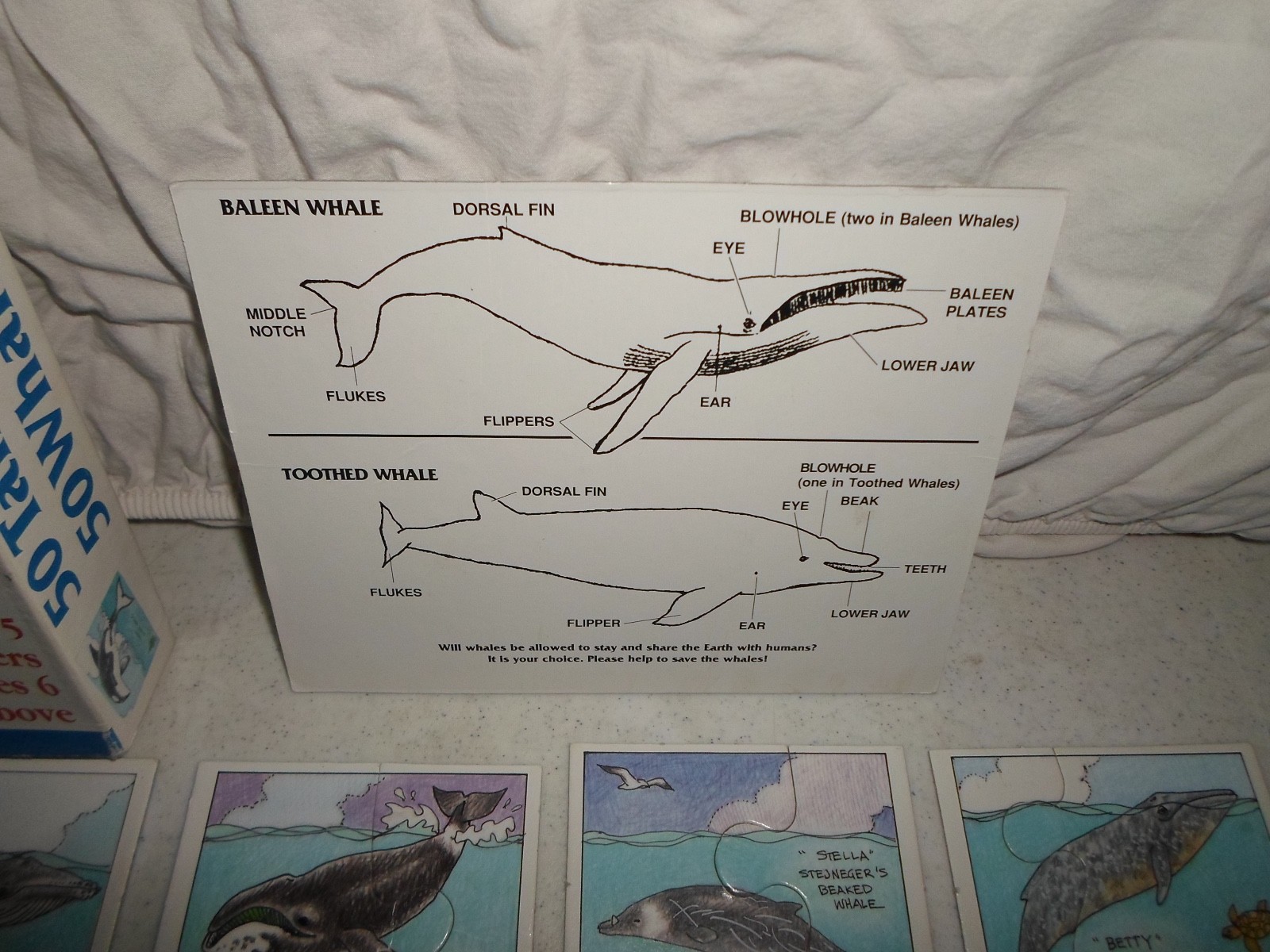 Complete 50 Whale for Tail Puzzle/Board Game Trivia Ocean Fact Matching Learning