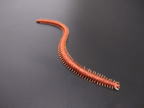 Trout Saltwater Fishing Baits, Lures & Flies