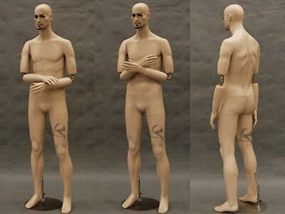 Male Mannequin Manequin Manikin Dress Form Display #MD-BC8