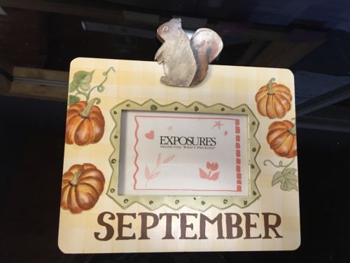 Marcos para fotos de la naturaleza de vacaciones