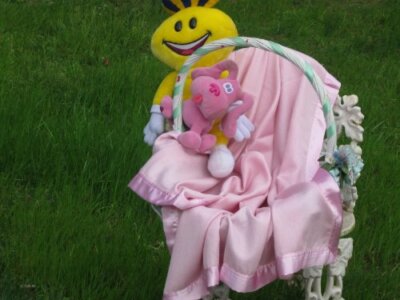 Baby Blanket/Swaddle Blanket/Crib Blanket/Receiving Blanket/Moses Blanket/Throw