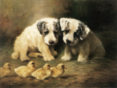 Handmade Oil Painting repro Lilian Cheviot Sealyham Puppies and Ducklings
