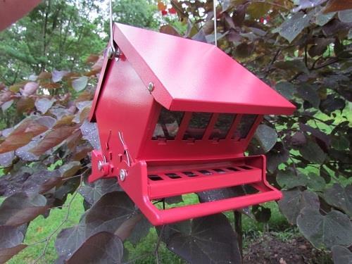 Mini Feeder Feeders | feeders.biz