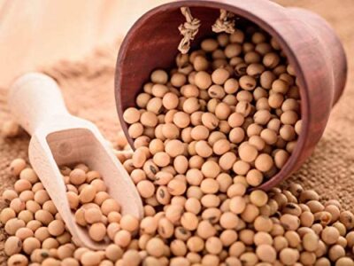 Bulk Vegan Soybeans (22Lbs) Gluten Free, Great for Salad Sprouts Grown in Iowa, 