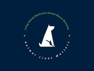 A Dog Named Black Jack Animal Rescue Recovery, inc.