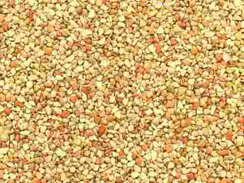 Steinteppiche für Terrassen- & Gehwege 