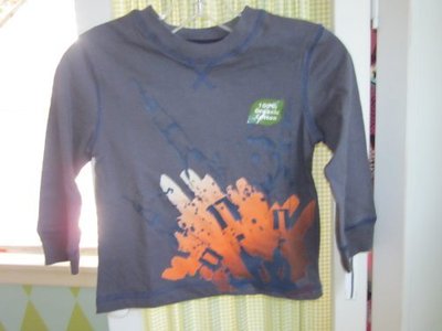 NWT FLAPDOODLES boys rocket blast ls tee organic cotton 2T