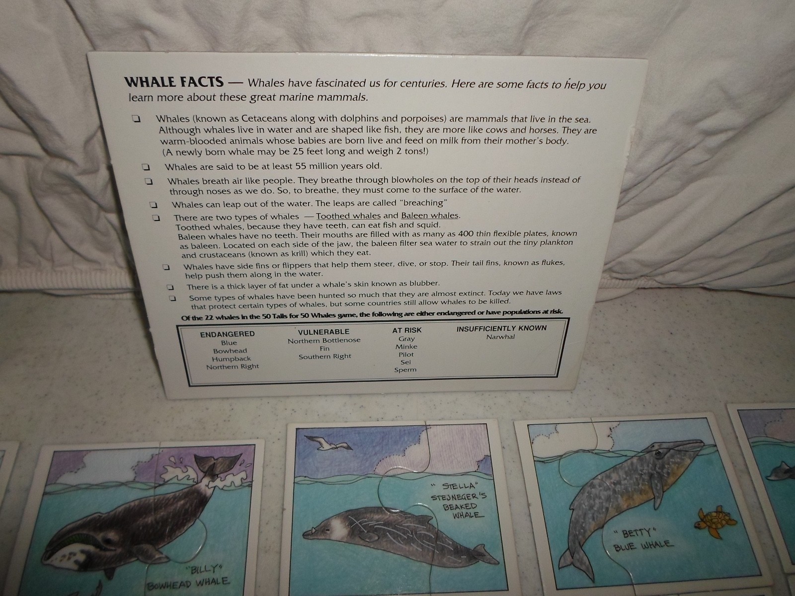 Complete 50 Whale for Tail Puzzle/Board Game Trivia Ocean Fact Matching Learning