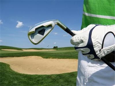Pro Shop Lessons Golf Clubs Sales BUSINESS PLAN  MARKETING PLAN  2 PLANS