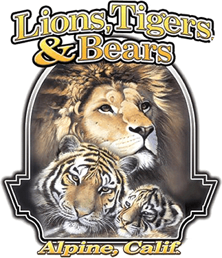 Lions Tigers & Bears