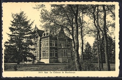 CPA Aye, Le Château de Baschamps 
