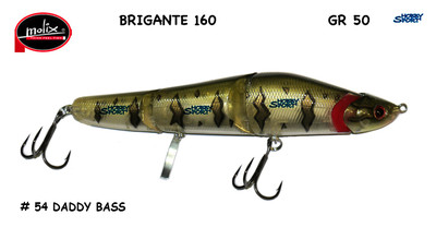MOLIX BRIGANTE 160 SINKING  COL. SW 54  DADDY BASS  50 gr  SPINNING MARE LUCCIO